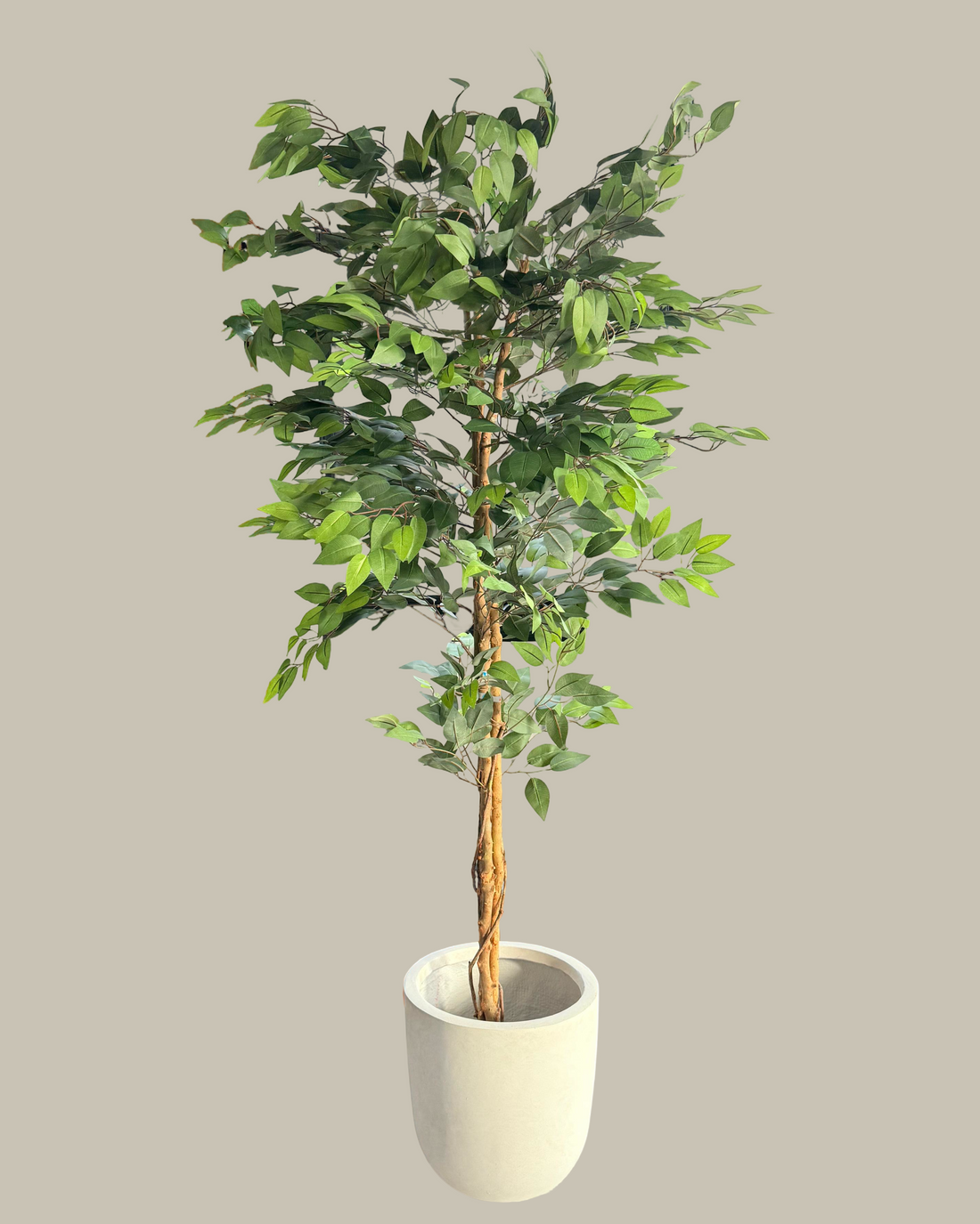 Artificial Potted Ficus Tree 180CM