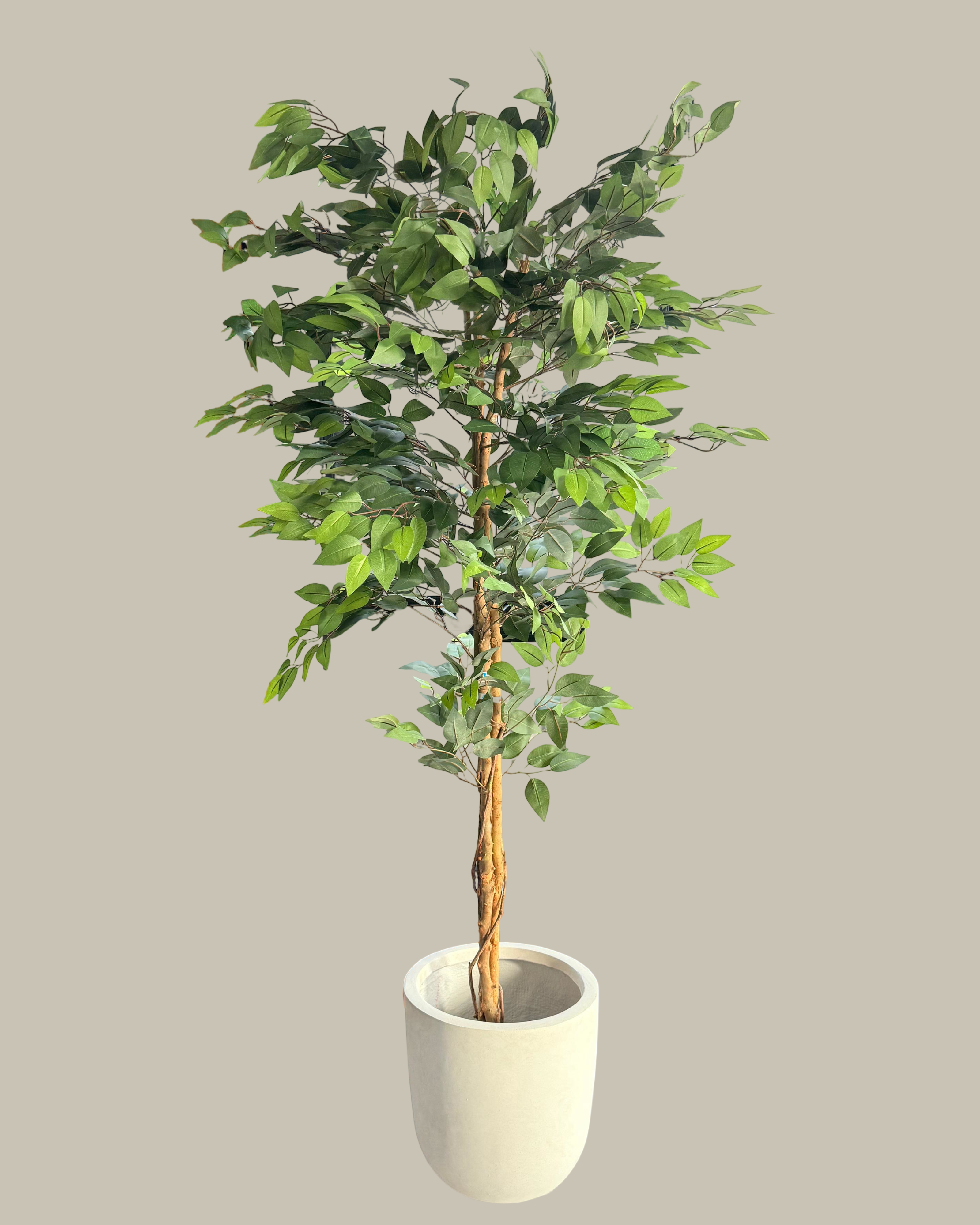 Artificial Potted Ficus Tree 180CM