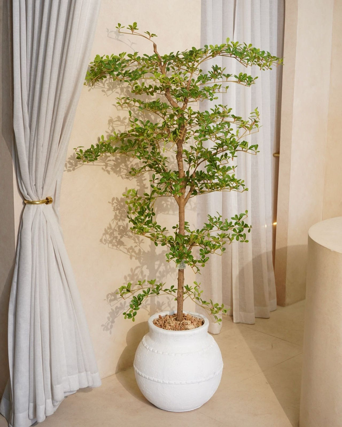 Faux Shady Lady Olive Tree 180CM